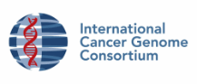 International Cancer Genome Consortium